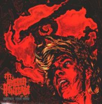 TRIGGER RENEGADE - Destroy your mind CD