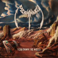 MERSINARY - Tear down the walls DCD